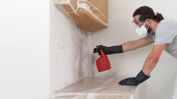 Professional Basement Mold Removal technician working in Woodmere, NY